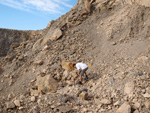 Grupo Mineralógico de Alicante. Cantera Holcín. Busot. Alicante