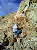 Grupo Mineralógico de Alicante. Cantera Holcín. Busot. Alicante