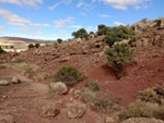 Grupo Mineralógico de Alicante. Yacimiento de goethitas de Toldelrábano, Guadalajara