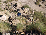 Grupo Mineralógico de Alicante. Cabezo Polovar. Villena. Alicante