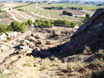 Grupo Mineralógico de Alicante. Cabezo Polovar. Villena. Alicante