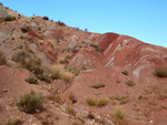 Grupo Mineralógico de Alicante. Afloramiento de Aragonito. Loma Badá. Petrer. Alicante