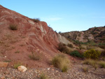 Grupo Mineralógico de Alicante. Afloramiento de Aragonito. Loma Badá. Petrer. Alicante