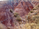 Grupo Mineralógico de Alicante. Afloramiento de Aragonito. Loma Badá. Petrer. Alicante