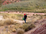 Grupo Mineralógico de Alicante. Afloramiento de Aragonito. Loma Badá. Petrer. Alicante