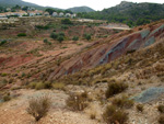 Grupo Mineralógico de Alicante. Afloramiento de Aragonito. Loma Badá. Petrer. Alicante