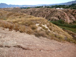 Grupo Mineralógico de Alicante.  Afloramiento de Aragonito. Loma Badá. Petrer. Alicante 