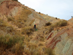 Grupo Mineralógico de Alicante.  Afloramiento de Aragonito. Loma Badá. Petrer. Alicante 