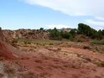 Grupo Mineralógico de Alicante.  Afloramiento de Aragonito. Loma Badá. Petrer. Alicante 