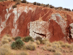 Grupo Mineralógico de Alicante. Afloramiento de Aragonito. Loma Badá. Petrer. Alicante