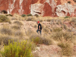 Grupo Mineralógico de Alicante. Afloramiento de Aragonito. Loma Badá. Petrer. Alicante