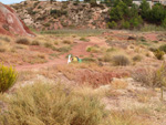 Grupo Mineralógico de Alicante. Afloramiento de Aragonito. Loma Badá. Petrer. Alicante