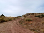 Grupo Mineralógico de Alicante. Afloramiento de Aragonito. Loma Badá. Petrer. Alicante