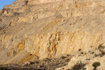 Grupo Mineralógico de Alicante. Cantera Holcín. Busot. Alicante