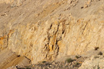 Grupo Mineralógico de Alicante. Cantera Holcín. Busot. Alicante