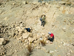 Grupo Mineralógico de Alicante. Cantera Holcín. Busot. Alicante