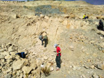 Grupo Mineralógico de Alicante. Cantera Holcín. Busot. Alicante