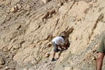 Grupo Mineralógico de Alicante. Cantera Holcín. Busot. Alicante