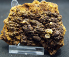 Grupo Mineralógico de Alicante. Cantera Holcín. Busot. Alicante