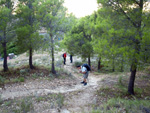 Grupo Mineralógico de Alicante. Minería del Cabezo D´Or. Busot. Alicante