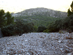 Grupo Mineralógico de Alicante. Minería del Cabezo D´Or. Busot. Alicante