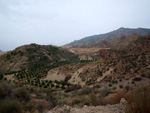 Grupo Mineralógico de Alicante. Los Vives. Orihuela. Alicante