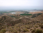 Grupo Mineralógico de Alicante.  Los Vives. Orihuela. Alicante 