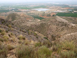 Grupo Mineralógico de Alicante.  Los Vives. Orihuela. Alicante 