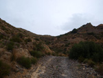 Grupo Mineralógico de Alicante. Los Vives. Orihuela. Alicante