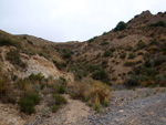 Grupo Mineralógico de Alicante. Los Vives. Orihuela. Alicante