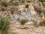 Grupo Mineralógico de Alicante. Los Vives. Orihuela. Alicante