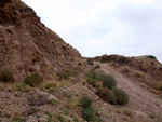 Grupo Mineralógico de Alicante. Los Vives. Orihuela. Alicante