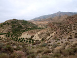 Grupo Mineralógico de Alicante. Los Vives. Orihuela. Alicante