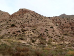 Grupo Mineralógico de Alicante. Los Vives. Orihuela. Alicante