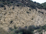 Grupo Mineralógico de Alicante. Los Vives. Orihuela. Alicante