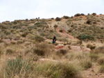 Grupo Mineralógico de Alicante. Afloramiento del Keuoer de Loma Badá. Petrer. Alicante