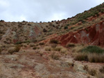 Grupo Mineralógico de Alicante. Afloramiento del Keuoer de Loma Badá. Petrer. Alicante