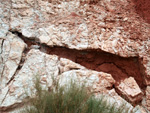 Grupo Mineralógico de Alicante. Afloramiento del Keuoer de Loma Badá. Petrer. Alicante