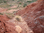 Grupo Mineralógico de Alicante. Afloramiento del Keuoer de Loma Badá. Petrer. Alicante