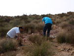 Grupo Mineralógico de Alicante. Afloramiento del Keuoer de Loma Badá. Petrer. Alicante