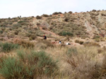 Grupo Mineralógico de Alicante. Afloramiento del Keuoer de Loma Badá. Petrer. Alicante