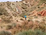 Grupo Mineralógico de Alicante. Afloramiento del Keuoer de Loma Badá. Petrer. Alicante