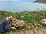 Grupo Mineralógico de Alicante. Berbes. Asturias