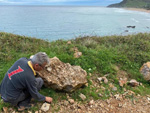 Grupo Mineralógico de Alicante. Berbes. Asturias