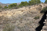 Grupo Mineralógico de Alicante. Cantera Serreta de la Torre. Moralet. Alicante