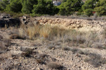 Grupo Mineralógico de Alicante. Cantera Serreta de la Torre. Moralet. Alicante