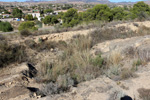 Grupo Mineralógico de Alicante. Cantera Serreta de la Torre. Moralet. Alicante