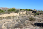 Grupo Mineralógico de Alicante. Cantera Serreta de la Torre. Moralet. Alicante