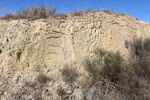 Grupo Mineralógico de Alicante. Cantera Serreta de la Torre. Moralet. Alicante