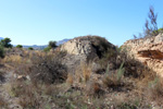 Grupo Mineralógico de Alicante. Cantera Serreta de la Torre. Moralet. Alicante